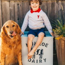 Seaclaw Merry Kids Sweatshirt -Clothing Online Store Harry Cutie Pie Lobster Sweater Finished scaled