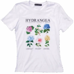 Hydrangea Blooms T-Shirt- Women's