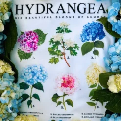 Hydrangea Blooms T-Shirt- Women's -Clothing Online Store image 140bc8f8 a813 4436 bab9 6d1143fc36fd